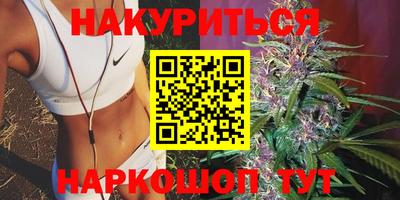 гидра Анжеро-Судженск