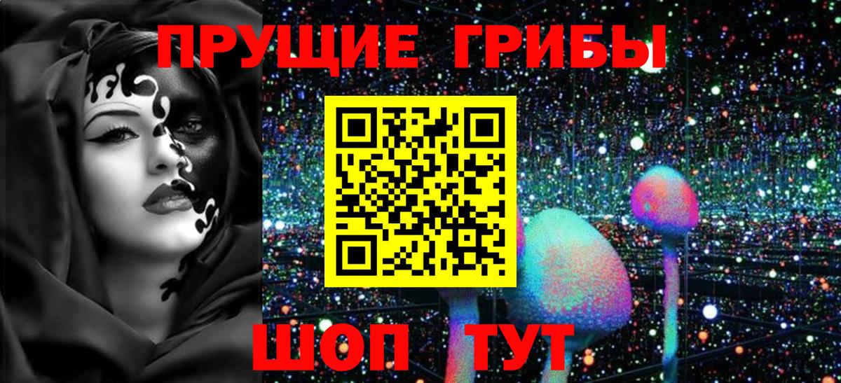 Псилоцибиновые грибы MAGIC MUSHROOMS  Вход с VPN  Бузулук 